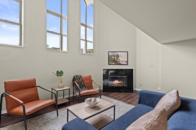 270 E Highland Ave Unit 1031, Milwaukee, WI 53202 - living room with wood finished floors, a high ceiling, a fireplace, and baseboards
