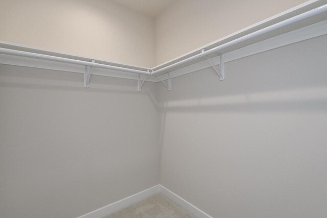 20840 Gray St, Lannon, WI 53046 - spacious closet with light carpet