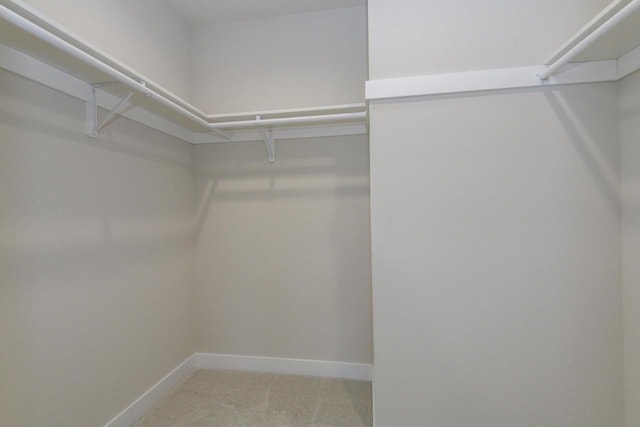 20840 Gray St, Lannon, WI 53046 - walk in closet featuring carpet flooring