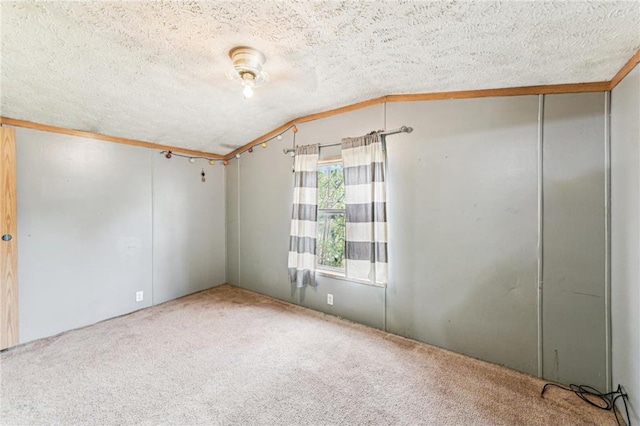 2077A 250th Ave Unit N, Luck, WI 54853 - empty room featuring a textured ceiling, carpet floors, and vaulted ceiling