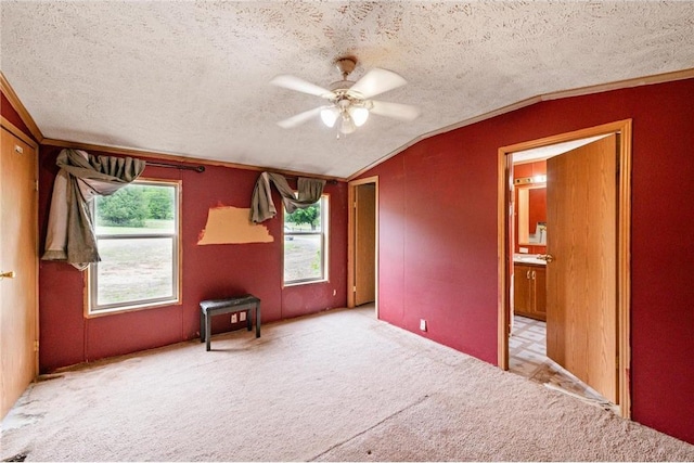 2077A 250th Ave Unit N, Luck, WI 54853 - spare room featuring ceiling fan, a textured ceiling, carpet, lofted ceiling, and ornamental molding