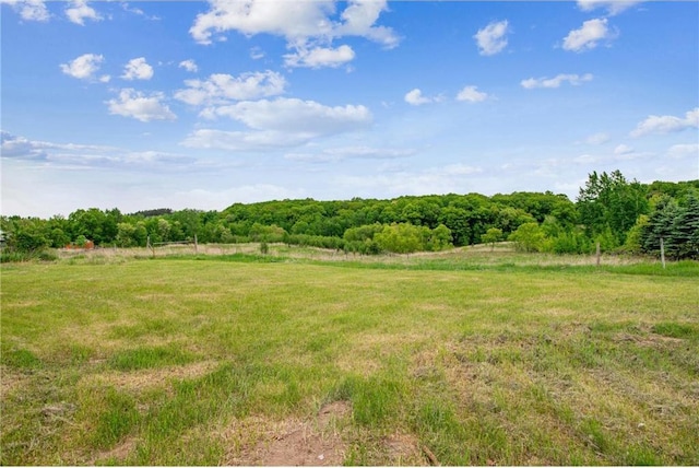 2077A 250th Ave Unit N, Luck, WI 54853 - view of yard with a view of countryside and a view of trees