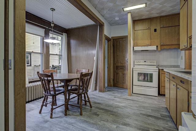 535 Jackson St, Oshkosh, WI 54901 - dining space with light wood-type flooring and radiator