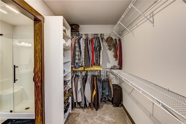 16437 56th Ave, Chippewa Falls, WI 54729 - spacious closet featuring light carpet