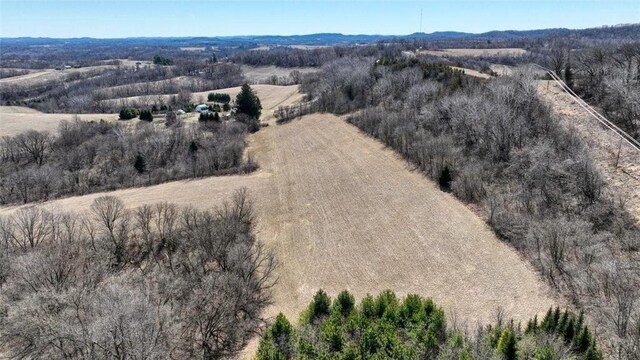N30732 Square Bluff Rd, Blair, WI 54616 - view of rural area