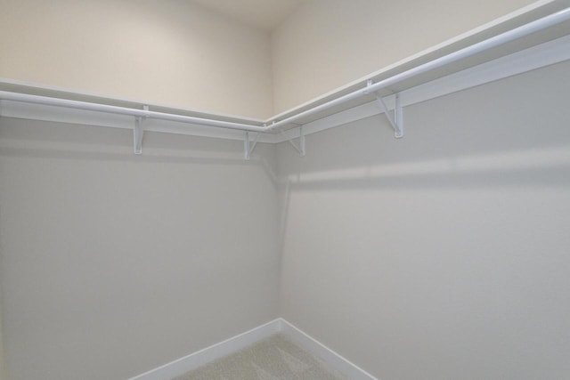 20880 Gray St, Lannon, WI 53046 - walk in closet with carpet