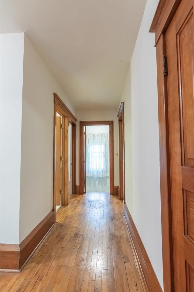 305 N 1st St, Colby, WI 54421 - hallway with light wood-style flooring and baseboards