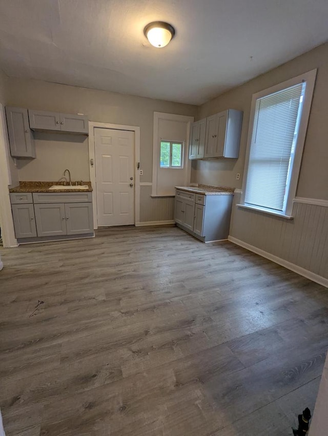 110 W Center St, Milwaukee, WI 53212 - kitchen featuring a sink, wood finished floors, a wainscoted wall, gray cabinetry, and baseboards
