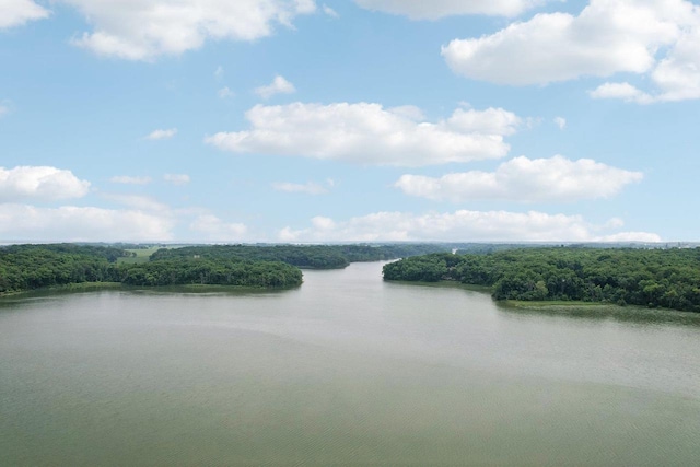 303 Craig Rd, Edgerton, WI 53534 - water view with a heavily wooded area