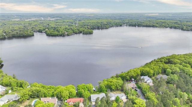 1604 Lake Rd, Altoona, WI 54720 - aerial perspective of suburban area with a heavily wooded area and a nearby body of water