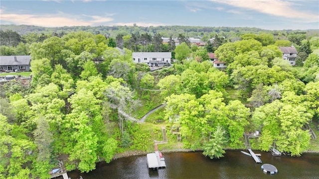 1604 Lake Rd, Altoona, WI 54720 - aerial view of a large body of water and a forest