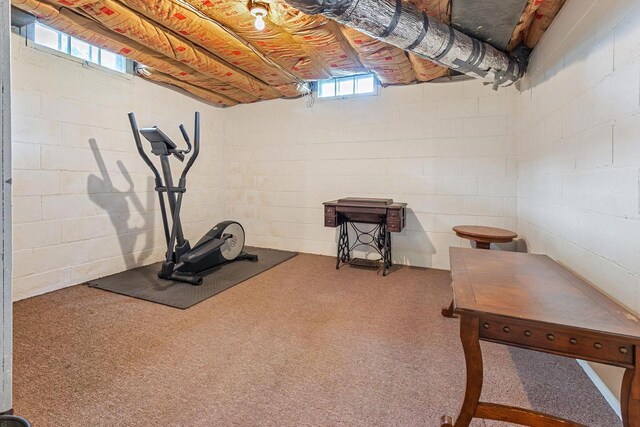 813 W Summer St, Appleton, WI 54914 - exercise room featuring carpet floors