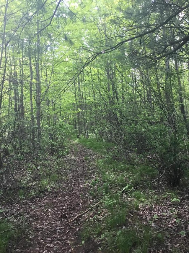 N7777 Kitty Dell Rd, Crivitz, WI 54114 - view of wooded area