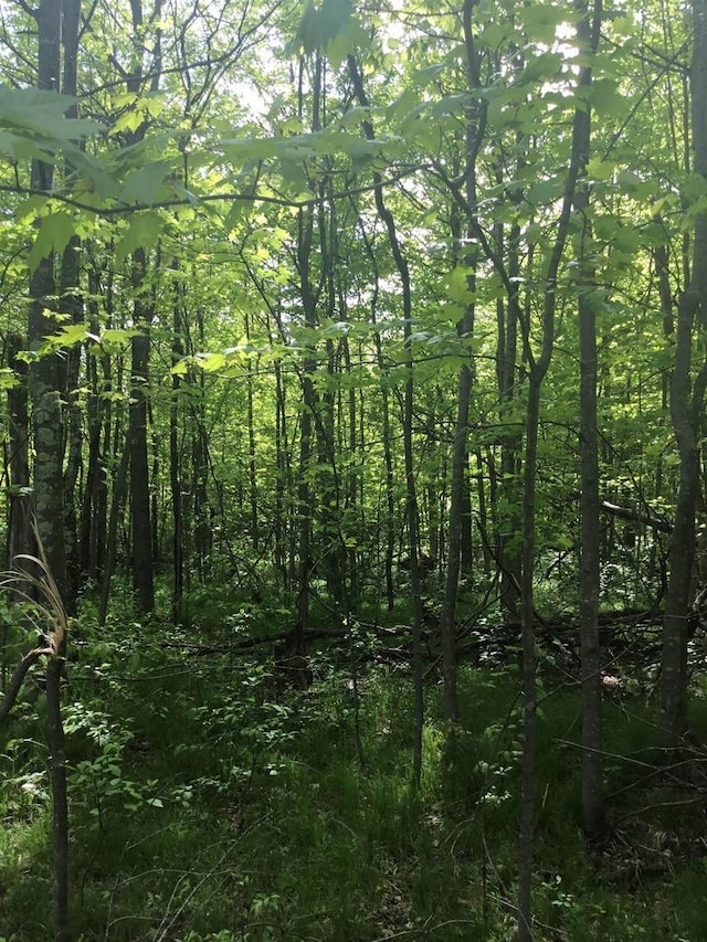 N7777 Kitty Dell Rd, Crivitz, WI 54114 - view of wooded area
