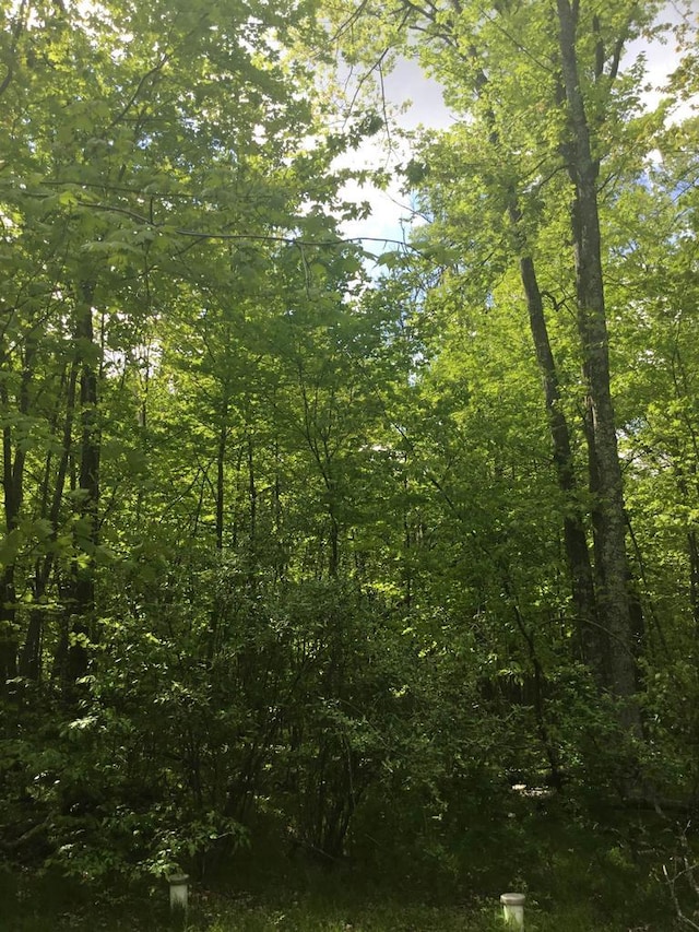 N7777 Kitty Dell Rd, Crivitz, WI 54114 - view of woods