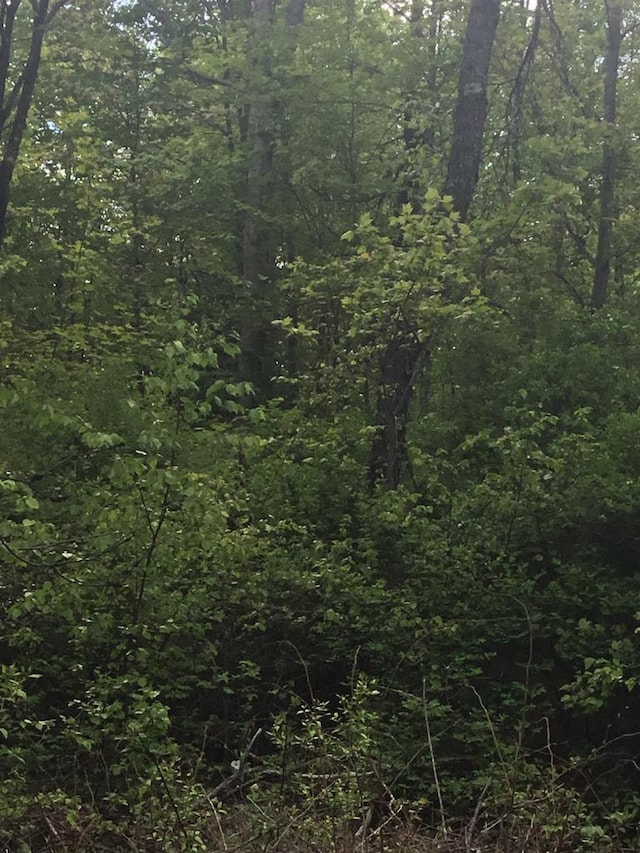 N7777 Kitty Dell Rd, Crivitz, WI 54114 - view of tree filled area