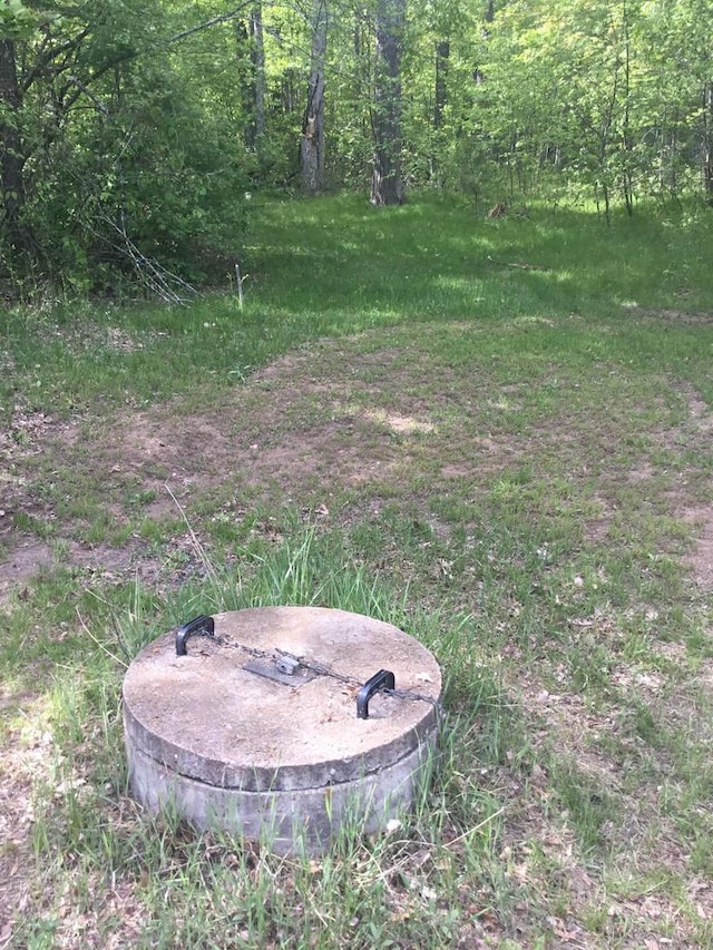 N7777 Kitty Dell Rd, Crivitz, WI 54114 - view of yard