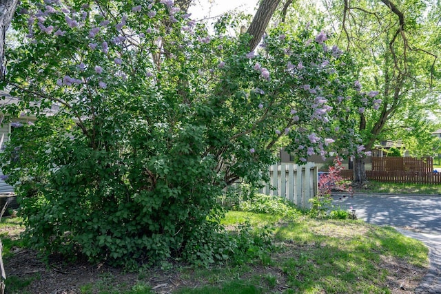 706 Tremont St, Mauston, WI 53948 - view of yard