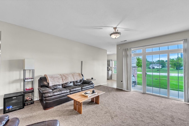 10245 66th Ave Unit 2Bb, Pleasant Prairie, WI 53158 - living room with carpet flooring and baseboards