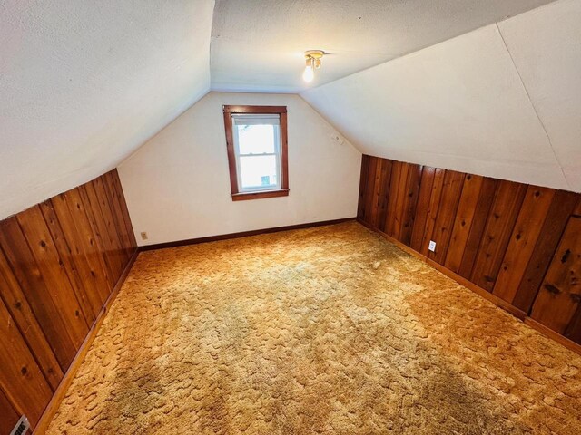 1344 Mckinley Ave, Beloit, WI 53511 - additional living space with wooden walls, carpet floors, lofted ceiling, baseboards, and a textured ceiling