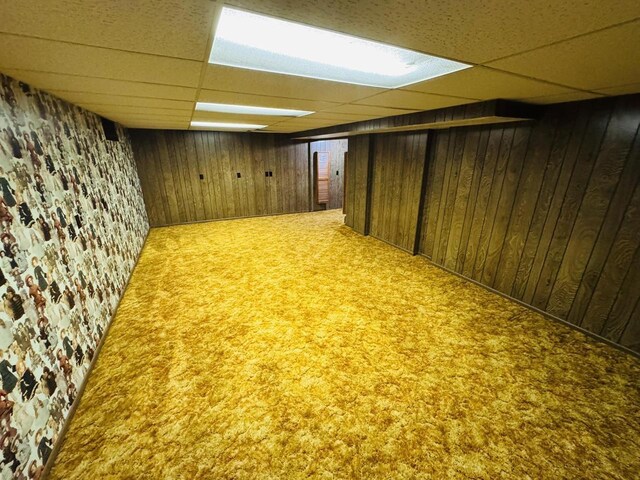 1344 Mckinley Ave, Beloit, WI 53511 - finished below grade area with a paneled ceiling, wooden walls, and carpet