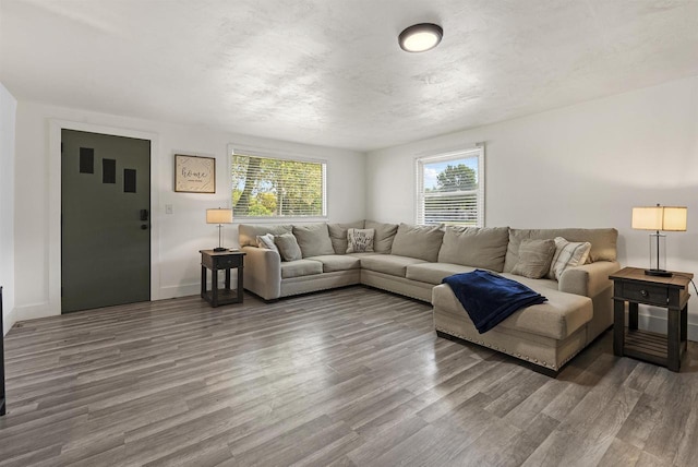 3531 N Richmond St, Appleton, WI 54911 - living room with wood finished floors and baseboards