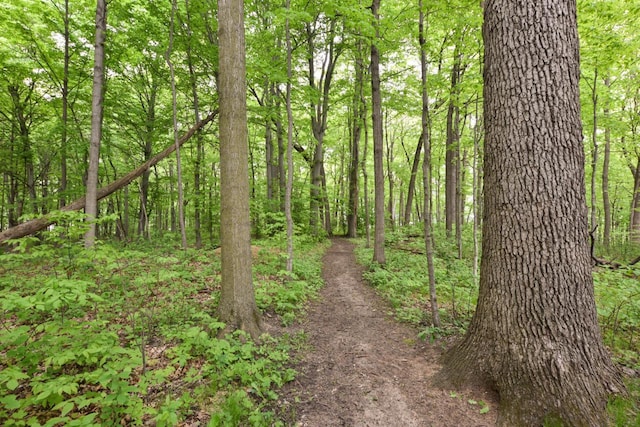 504 Sand Dr, West Bend, WI 53095 - view of wooded area