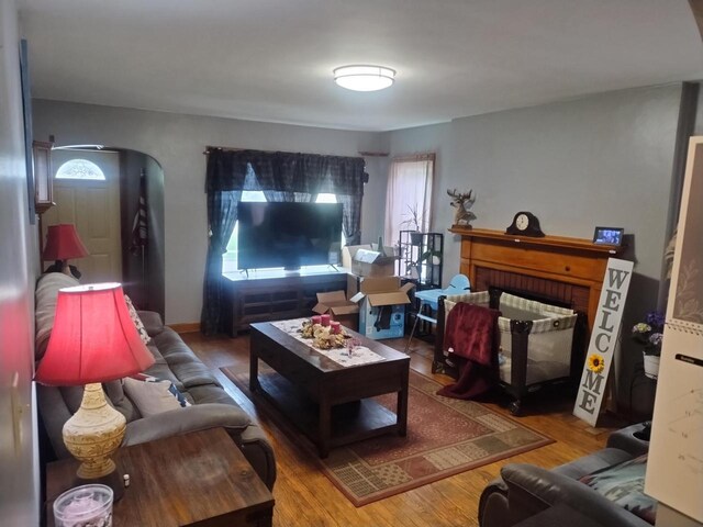 4507 S Griffin Ave, Milwaukee, WI 53207 - living area with wood finished floors and a fireplace