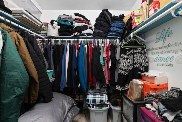 6560 US Highway 14, Arena, WI 53503 - view of walk in closet