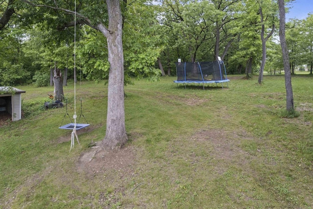 2150 E Carly Ct, Milton, WI 53563 - view of grassy yard featuring a trampoline
