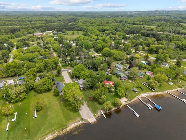 N3510 Lotus Dr, Montello, WI 53949 - bird's eye view of a forest and a nearby body of water