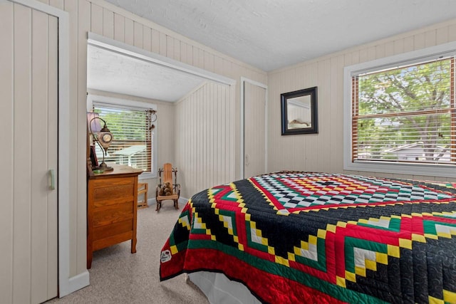 N3510 Lotus Dr, Montello, WI 53949 - carpeted bedroom with a textured ceiling and wooden walls