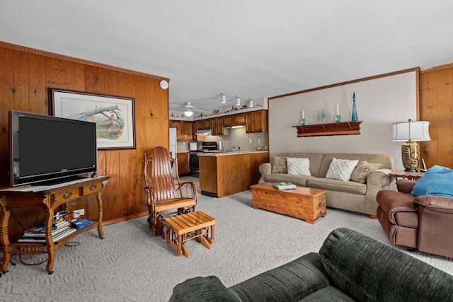 N3510 Lotus Dr, Montello, WI 53949 - living room featuring light colored carpet, wood walls, and track lighting
