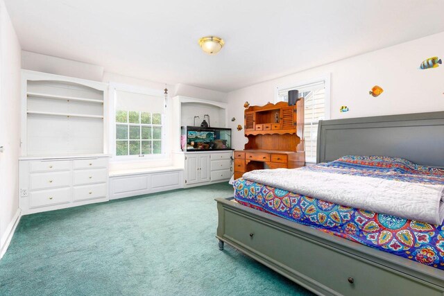 326 W Parkway Blvd, Appleton, WI 54911 - bedroom featuring multiple windows and carpet flooring
