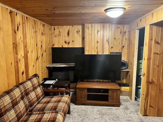 1159 Elmhurst Ln, Oshkosh, WI 54904 - living area with carpet floors, wooden walls, and wooden ceiling