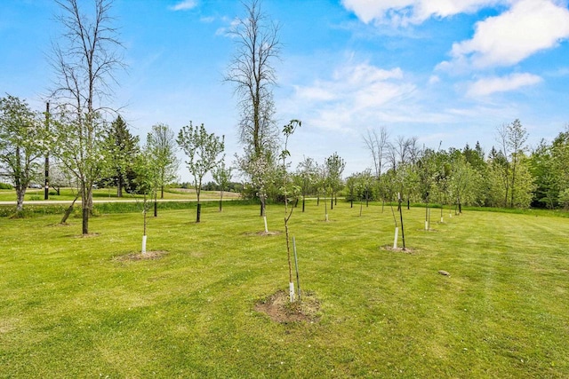 W4593 Old 352 Rd, Stephenson, MI 49887 - view of property's community featuring a yard