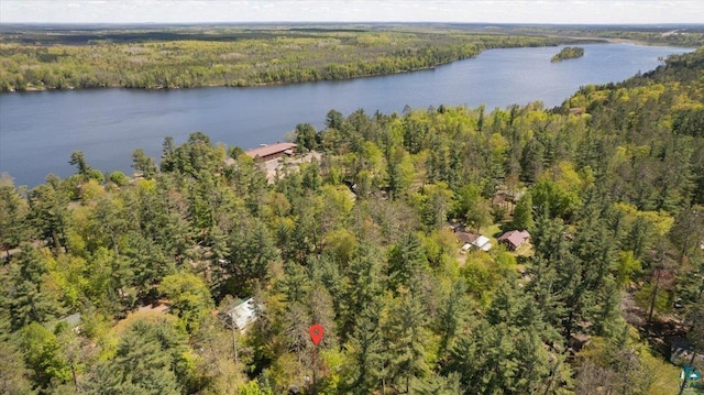 9298 E Park Ave, Solon Springs, WI 54873 - view of property location featuring a heavily wooded area and a large body of water