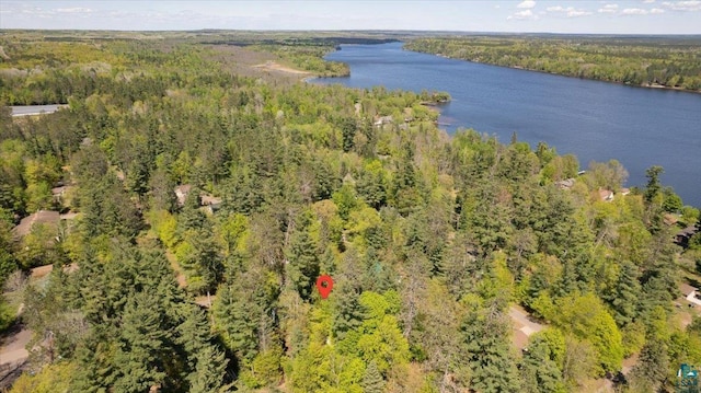 9298 E Park Ave, Solon Springs, WI 54873 - aerial view of property's location with a heavily wooded area and a large body of water