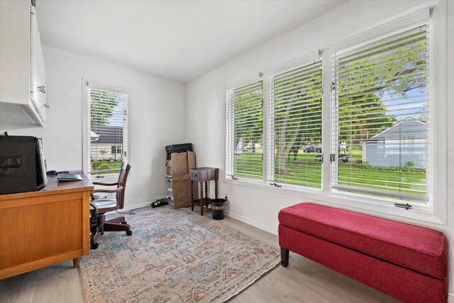 N60W39640 Mary Ln, Oconomowoc, WI 53066 - office space featuring light wood finished floors and baseboards