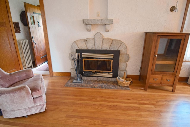 1139 W Highland St, Whitewater, WI 53190 - detailed view of radiator, wood finished floors, baseboards, and a stone fireplace