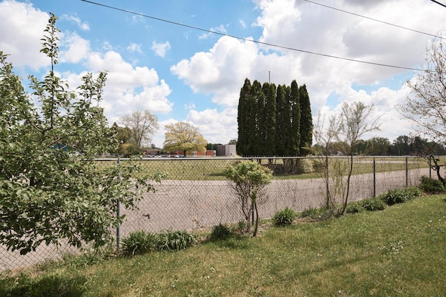 1139 W Highland St, Whitewater, WI 53190 - view of yard