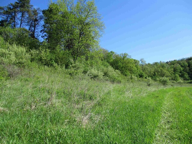 30228 County Rd W, Elroy, WI 53929