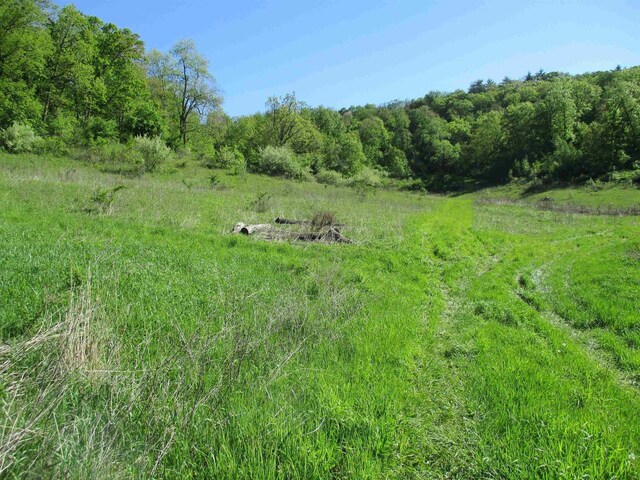 30228 County Rd W, Elroy, WI 53929