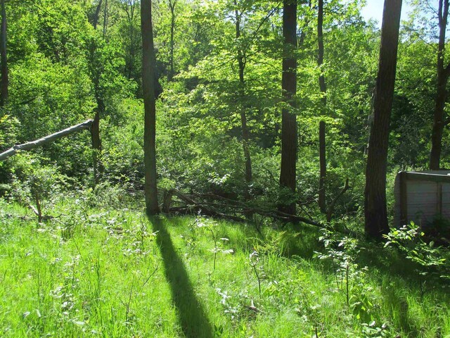 30228 County Rd W, Elroy, WI 53929