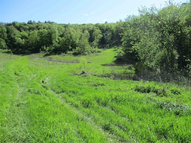 35AC County Rd W, Elroy, WI 53929
