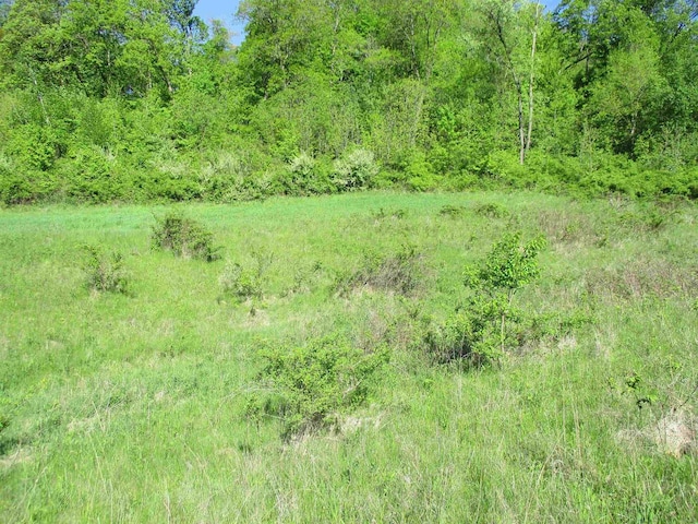 35AC County Rd W, Elroy, WI 53929