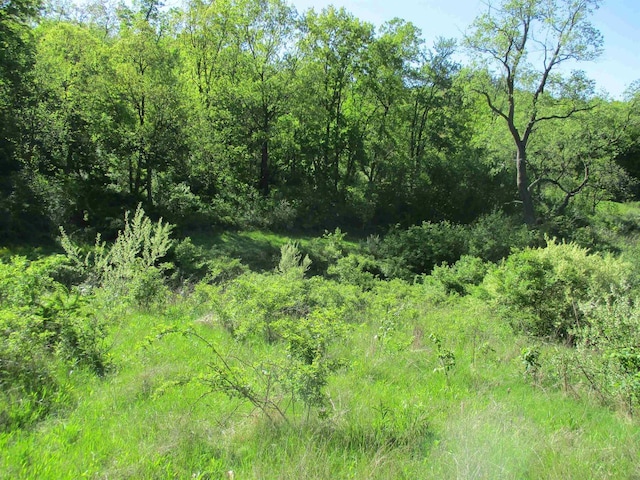 35AC County Rd W, Elroy, WI 53929