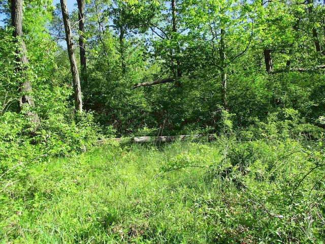 35AC County Rd W, Elroy, WI 53929