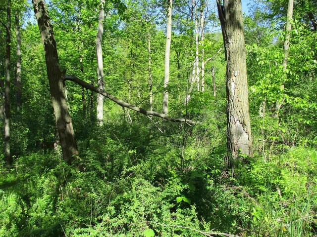 35AC County Rd W, Elroy, WI 53929