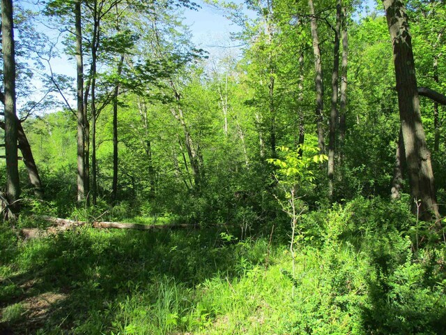 35AC County Rd W, Elroy, WI 53929